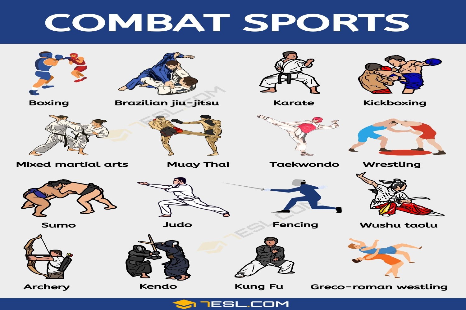 Different Combat Sports